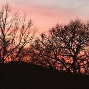 Magnat-l'Étrange 20/02/2017