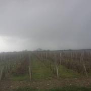 Saint-Seurin-de-Cadourne 28/02/2017