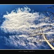 Villard-Bonnot 28/02/2017