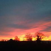 Castetnau-Camblong 03/03/2017