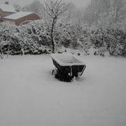 Montredon-Labessonnié 04/03/2017