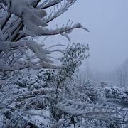 Saint-Salvy-de-la-Balme 04/03/2017