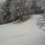 Cambounès 04/03/2017