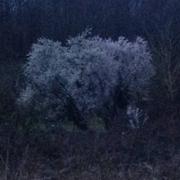 Castetnau-Camblong 04/03/2017