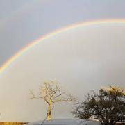 Ticheville 04/03/2017