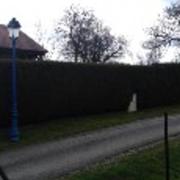 Juvaincourt 05/03/2017