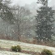 Bocquencé 06/03/2017