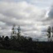 Scorbé-Clairvaux 06/03/2017