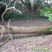 Bourgueil 07/03/2017