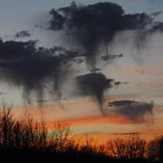 Peyrusse-Vieille 09/03/2017