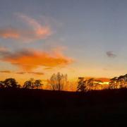 Castelnau-de-Montmiral 11/03/2017