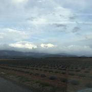 Saint-Jurs 23/03/2017