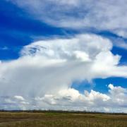 Saint-Aubin-de-Blaye 23/03/2017