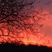 Mascaraàs-Haron 25/03/2017