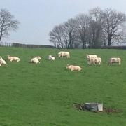 Baudemont 25/03/2017