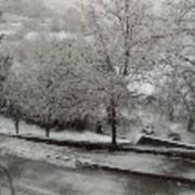 Comps-sur-Artuby 25/03/2017