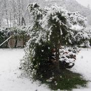 Prads-Haute-Bléone 25/03/2017