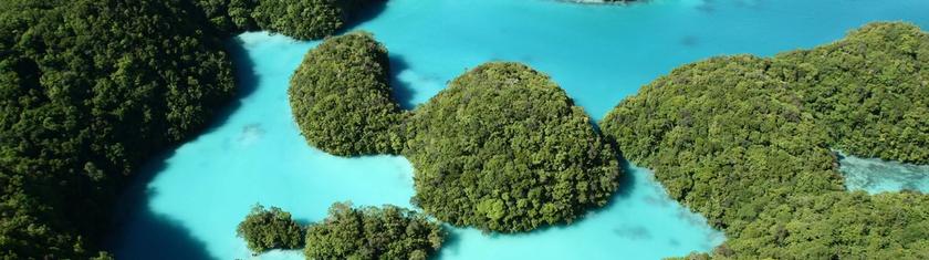 Il a voyagé dans les pays du monde entier : voici ses préférés