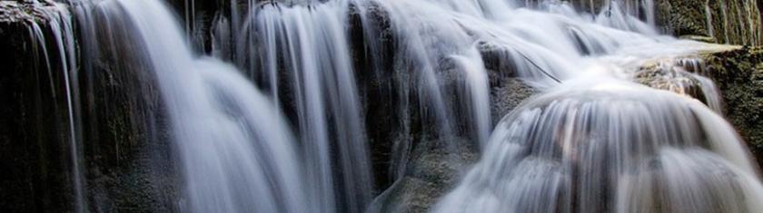 Au coeur de la forêt luxuriante du Laos...