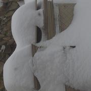Chambonchard 14/01/2010