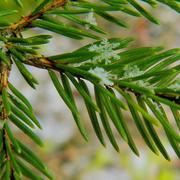 Ville-sur-Tourbe 16/01/2010