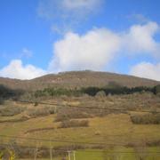 Barbirey-sur-Ouche 18/01/2010