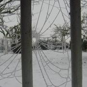 Autruy-sur-Juine 20/01/2010