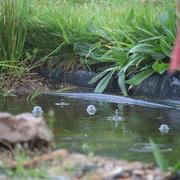 Bourg-des-Comptes 02/04/2017