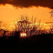 Bourg-des-Comptes 02/04/2017