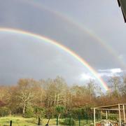 Saint-Martin-d'Oney 02/04/2017