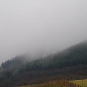 Labastide-Rouairoux 25/01/2010