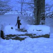 Saint-Martin-du-Mont 08/02/2010