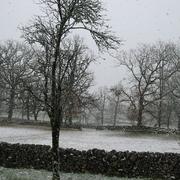 Saint-Simon 31/01/2010