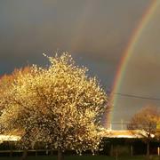 Saint-Julien-de-l'Escap 04/04/2017