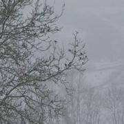 Barbirey-sur-Ouche 31/01/2010