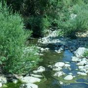 Saint-Symphorien-sous-Chomérac 06/04/2017