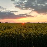 Betz-le-Château 08/04/2017