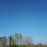 Bois-le-Duc 08/04/2017