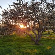 Villedieu-le-Château 09/04/2017