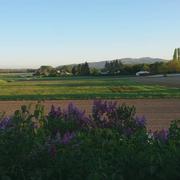 Reyrieux 10/04/2017