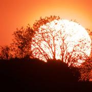 Saint-Étienne-de-Brillouet 19/04/2017