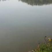 Bernissart 20/04/2017