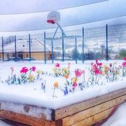 Lus-la-Croix-Haute 29/04/2017