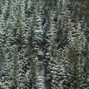 Le Monastier-sur-Gazeille 29/04/2017