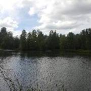 Loures-Barousse 01/05/2017