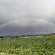 Saint-André-de-Corcy 01/05/2017