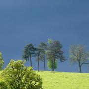 Saint-Julien-de-Civry 01/05/2017