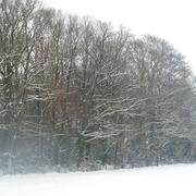 Saint-Léon 01/02/2010