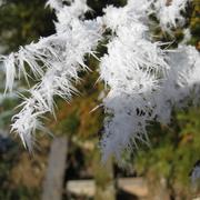 Gargilesse-Dampierre 01/02/2010