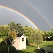 Candé-sur-Beuvron 12/05/2017